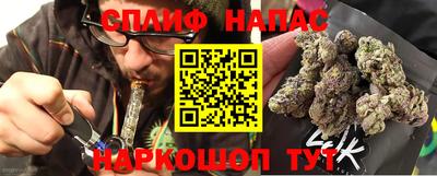 СК Краснознаменск